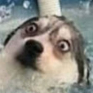 Meet your Posher, Robyn